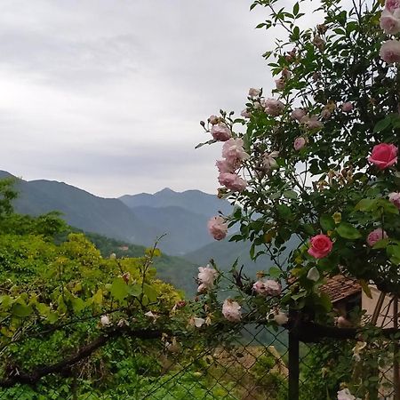 Bed and Breakfast L'Ibrus Blue Belvedere  Экстерьер фото