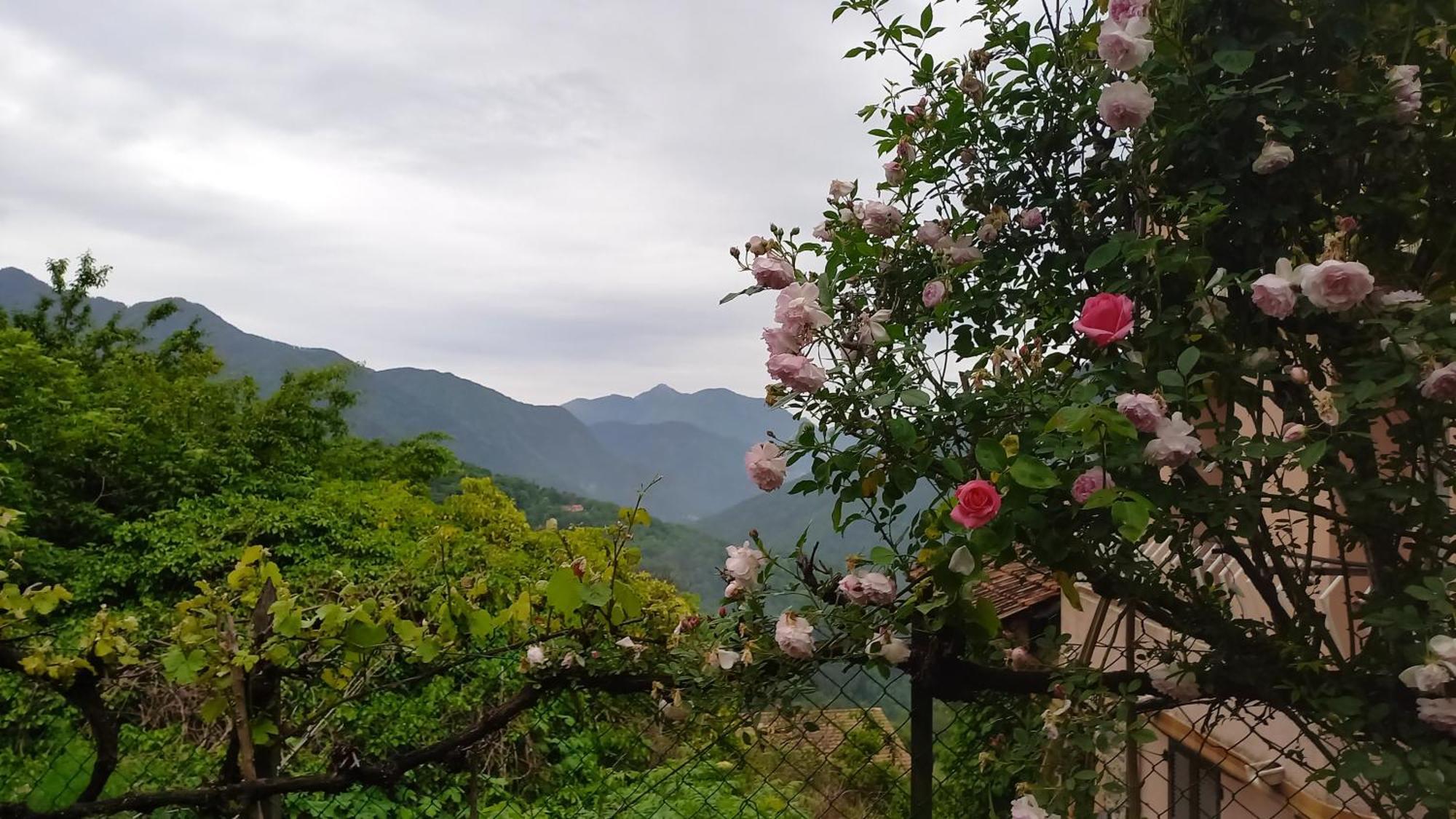 Bed and Breakfast L'Ibrus Blue Belvedere  Экстерьер фото